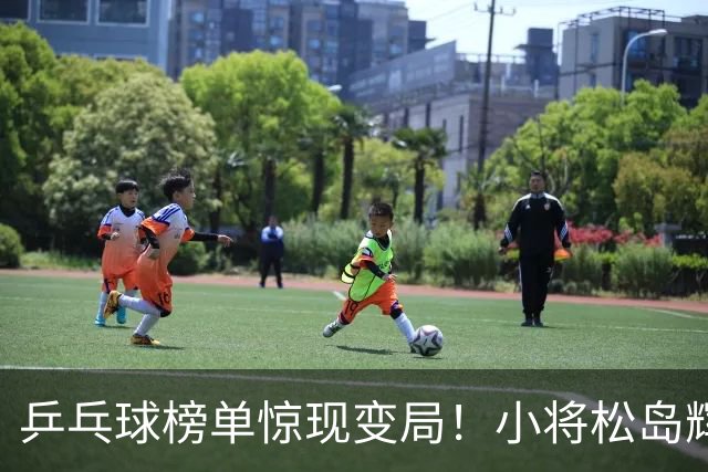 乒乓球榜单惊现变局！小将松岛辉空夺冠，国乒男单首现空缺